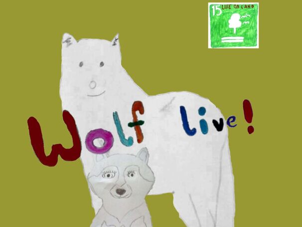 „Wolf Live“ vom NABU ausgezeichnet!