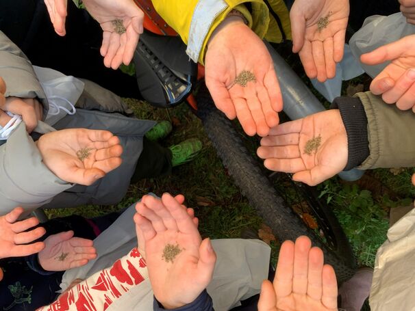 Discovering endagered Species and Biodiversity with the European Hedgehog - Project week at Kollwitzplatz