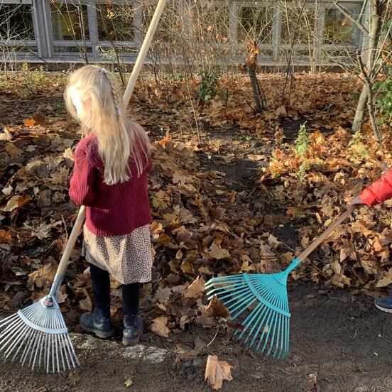 Creating an "eternal" pile of leaves