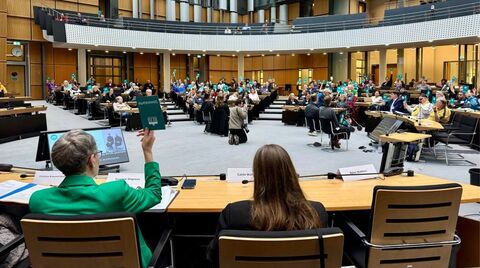 Blick in das Plenum (Foto: C. Müller-Zurek)