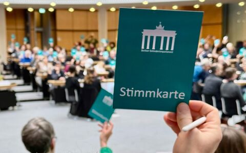 Stimmkarte des Behindertenparlaments (Foto: C. Müller-Zurek)