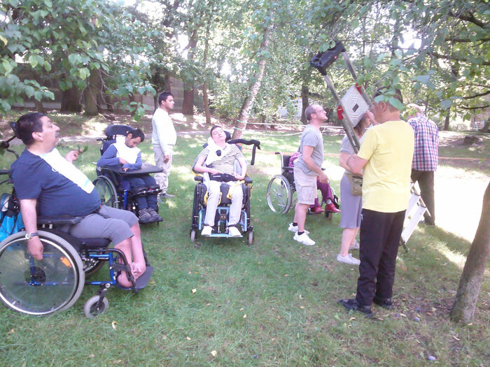 Gruppe 4: Gruppenübergreifende Pflaumenernte.