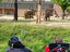 Gruppe 2: Besuch bei den Elefanten im Zoo