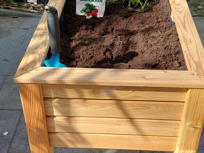 Gruppe 9: Ein Hochbeet wird gebaut und bepflanzt.